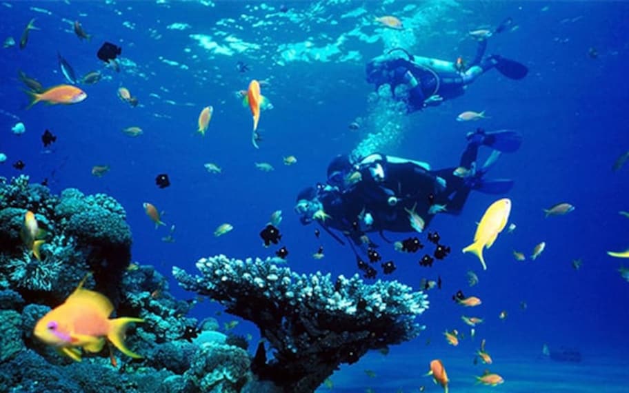 Goa Scuba Diving Landscape Image